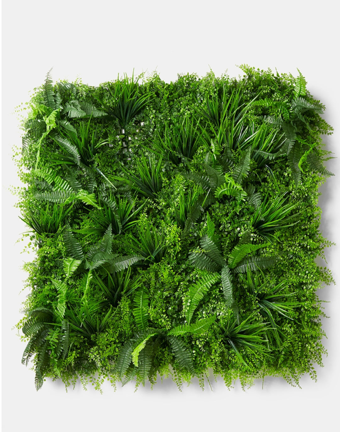 Backdrop and Arch Rentals